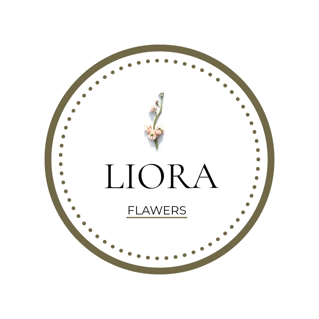 Brand logo Design